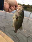 20181014130439-5dd00582