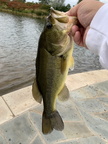20191007160652-4253bde7
