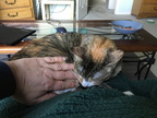 IMG 0360 (8003 visits) IMG 0360