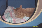 thomas sleeping