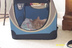 sleeping2