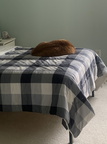 IMG 1448