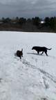 MOV 3130