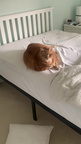 IMG 1421